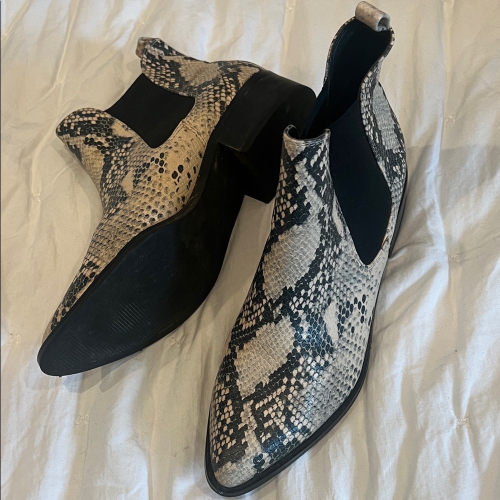 Women’s Snake-Print Steve Madden in Black & Cream